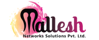 MNS-PVT-LTD-80px